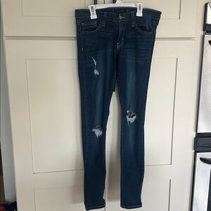 Flying Monkey Distressed Skinny Jeans